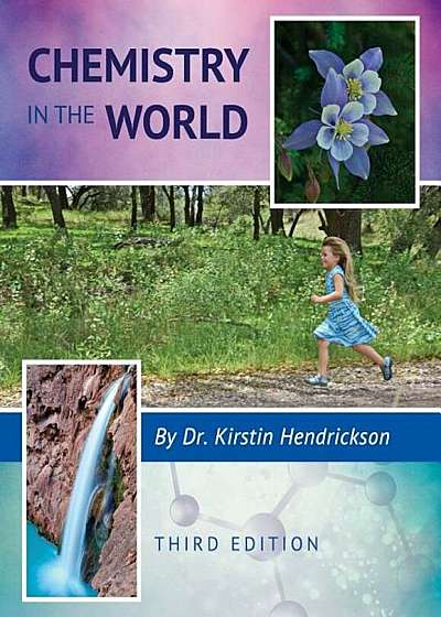 Chemistry in the World, Paperback
