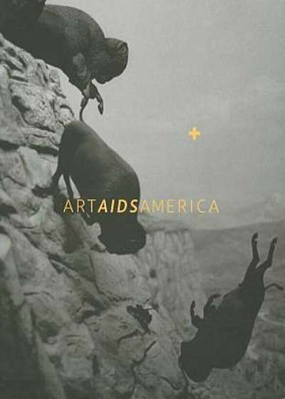 Art AIDS America, Hardcover