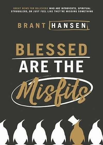 Blessed Are the Misfits: Great News for Believers Who Are Introverts, Spiritual Strugglers, or Just Feel Like They're Missing Something, Paperback