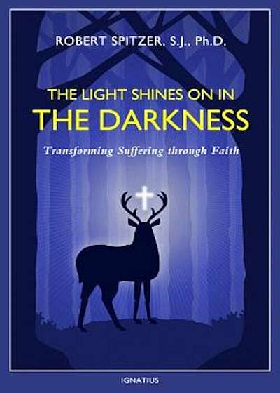The Light Shines on in the Darkness: Transforming Suffering Through Faith, Paperback