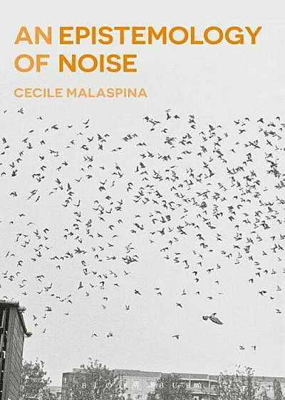 An Epistemology of Noise, Hardcover