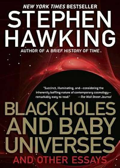 Black Holes and Baby Universes, Paperback