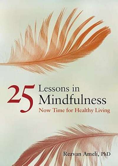 25 Lessons in Mindfulness: Now Time for Healthy Living, Paperback
