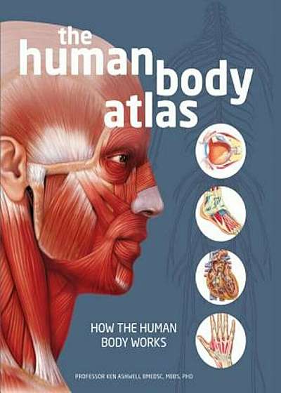 The Human Body Atlas: How the Human Body Works, Hardcover