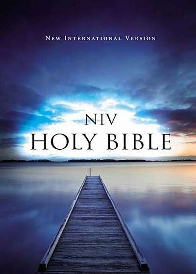Value Outreach Bible-NIV, Paperback