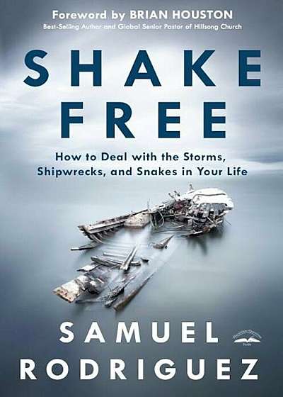 Shake Free: How to Deal with the Storms, Shipwrecks, and Snakes in Your Life, Hardcover