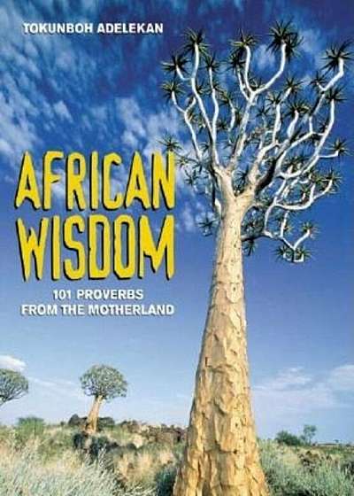 African Wisdom: 101 Proverbs from the Motherland, Paperback