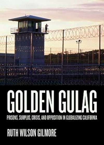 Golden Gulag: Prisons, Surplus, Crisis, and Opposition in Globalizing California, Paperback