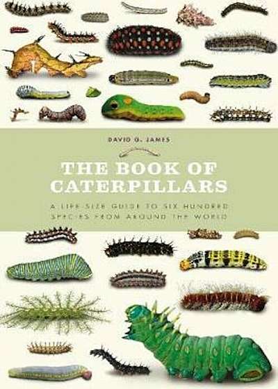 Book of Caterpillars, Hardcover