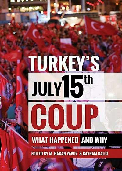 Turkey's July 15th Coup: What Happened and Why, Paperback