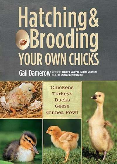 Hatching & Brooding Your Own Chicks: Chickens, Turkeys, Ducks, Geese, Guinea Fowl, Paperback