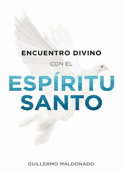 Encuentro Divino Con El Espiritu Santo, Paperback
