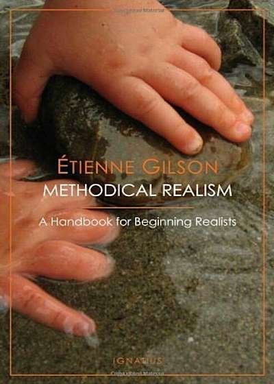 Methodical Realism, Paperback