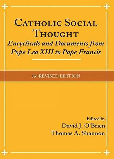 Catholic Social Thought: Encyclicals and Documents from Pope Leo XIII to Pope Francis, Paperback