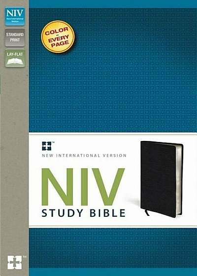 Study Bible-NIV, Hardcover