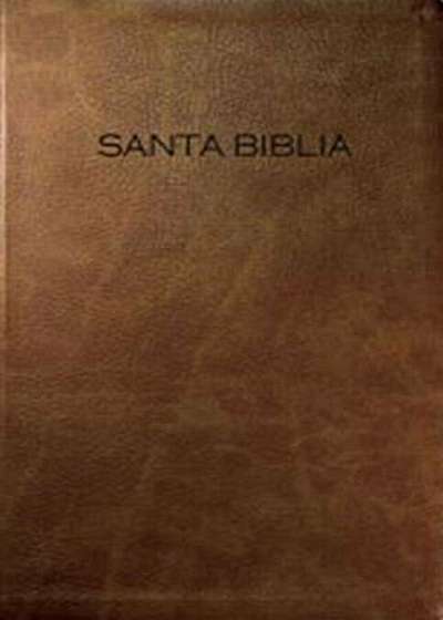 Biblia Para Regalo y Premio-NVI, Hardcover