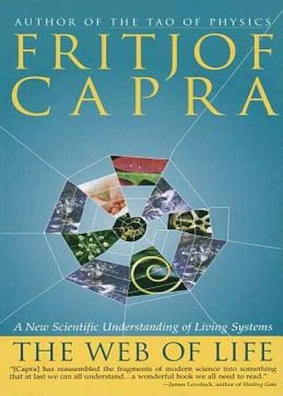 The Web of Life: A New Scientific Understanding of Living Systems, Paperback