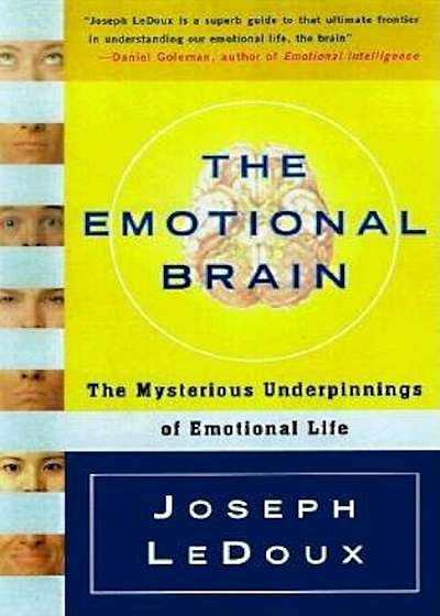 The Emotional Brain: The Mysterious Underpinnings of Emotional Life, Paperback