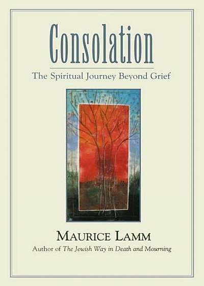 Consolation: The Spiritual Journey Beyond Grief, Paperback