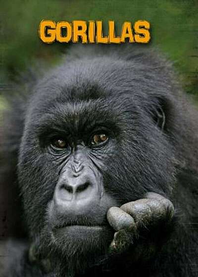 Gorillas, Paperback