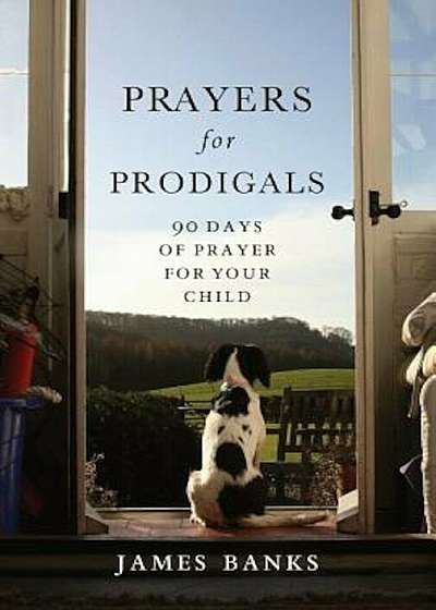 Prayers for Prodigals: 90 Days of Prayer for Your Child, Paperback