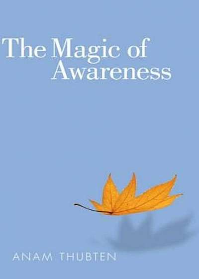 The Magic of Awareness, Paperback