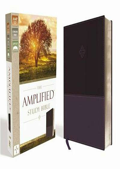Amplified Study Bible, Imitation Leather, Purple, Hardcover