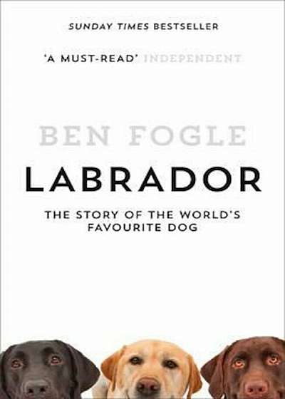 Labrador, Paperback