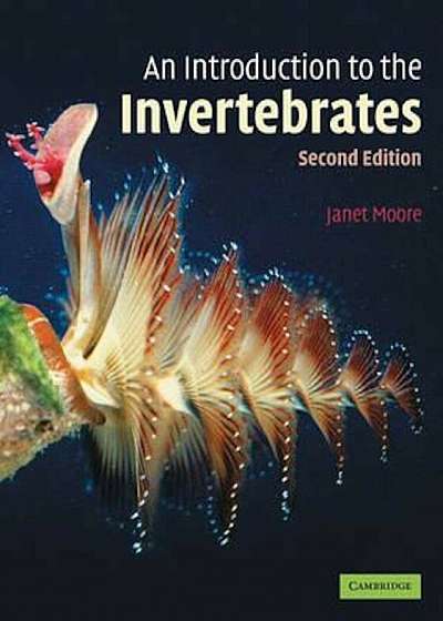 Introduction to the Invertebrates, Paperback