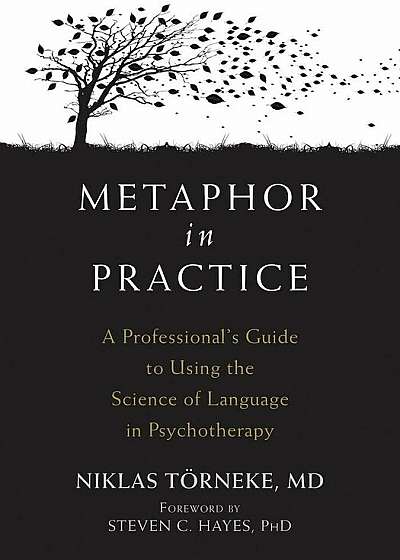 Metaphor in Practice: A Professional's Guide to Using the Science of Language in Psychotherapy, Paperback