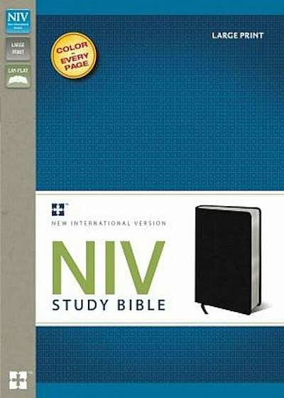 Study Bible-NIV-Large Print, Hardcover