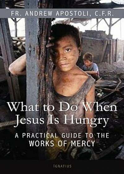 What to Do When Jesus Is Hungry: A Practical Guide to the Works of Mercy, Paperback