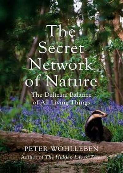 Secret Network of Nature, Hardcover