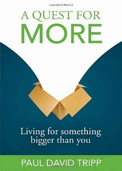 A Quest for More: Living for Something Bigger Than You, Paperback