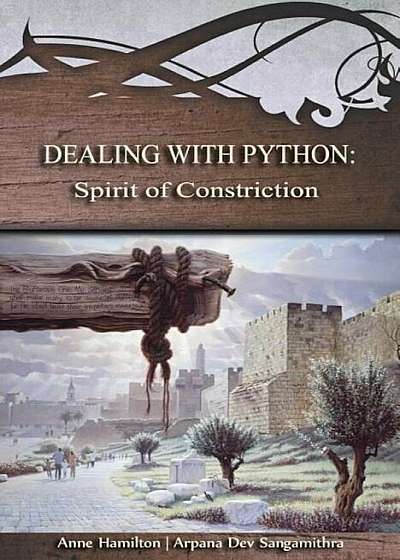 Dealing with Python: Spirit of Constriction: Strategies for the Threshold '1, Paperback