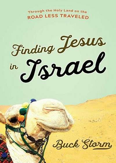Finding Jesus in Israel: Through the Holy Land on the Road Less Traveled, Hardcover