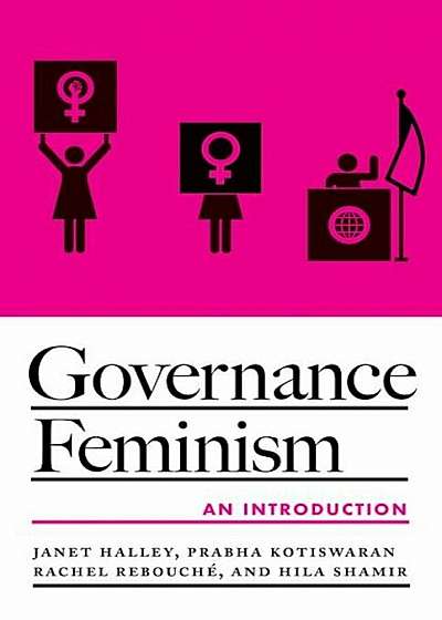 Governance Feminism: An Introduction, Paperback
