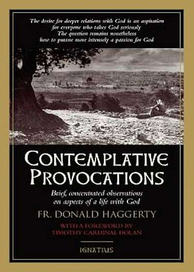 Contemplative Provocations, Paperback