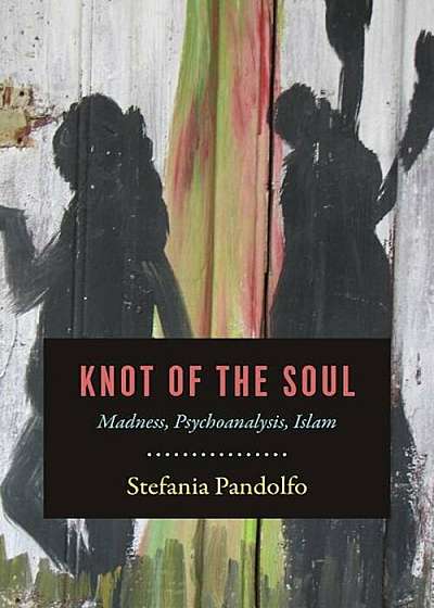 Knot of the Soul: Madness, Psychoanalysis, Islam, Paperback