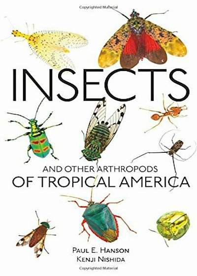 Insects and Other Arthropods of Tropical America, Paperback