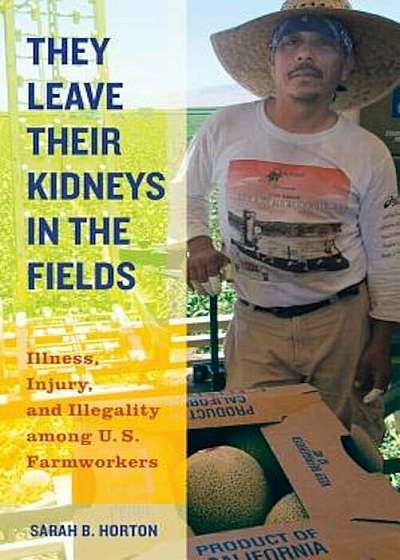 They Leave Their Kidneys in the Fields: Illness, Injury, and Illegality Among U.S. Farmworkers, Paperback