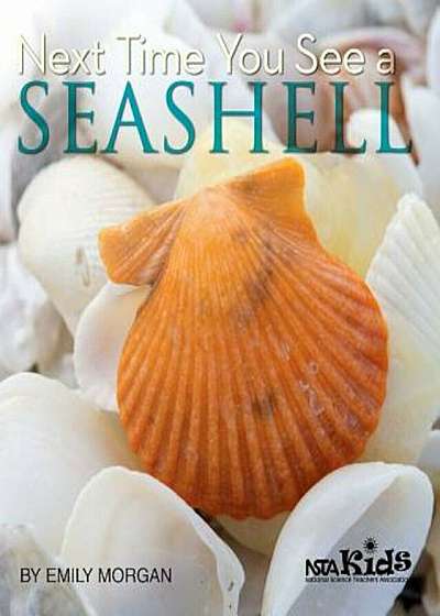 Next Time You See a Seashell, Paperback