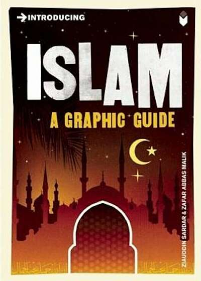 Introducing Islam: A Graphic Guide, Paperback