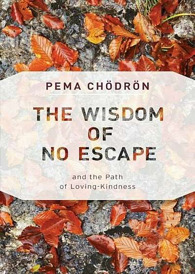 The Wisdom of No Escape: And the Path of Loving-Kindness, Paperback
