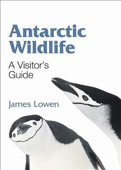 Antarctic Wildlife: A Visitor's Guide, Paperback