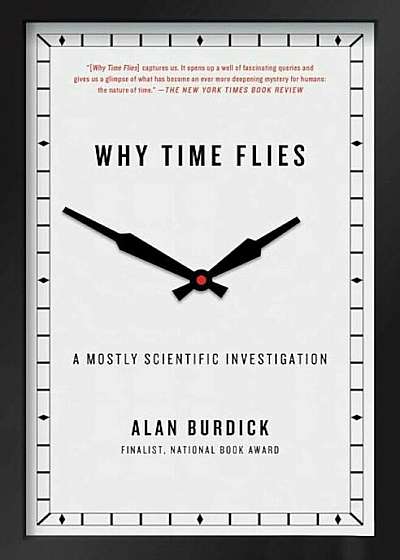 Why Time Flies: A Mostly Scientific Investigation, Paperback