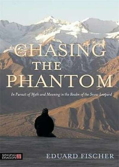 Chasing the Phantom, Paperback