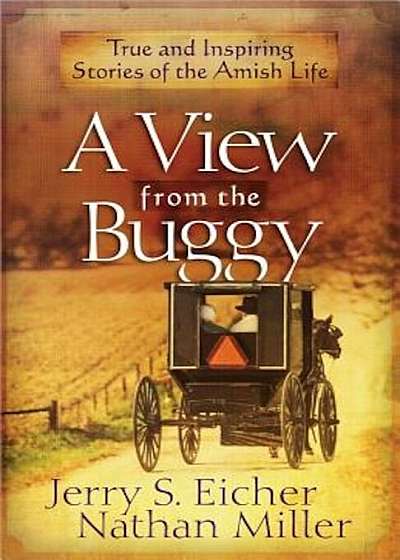 A View from the Buggy, Paperback