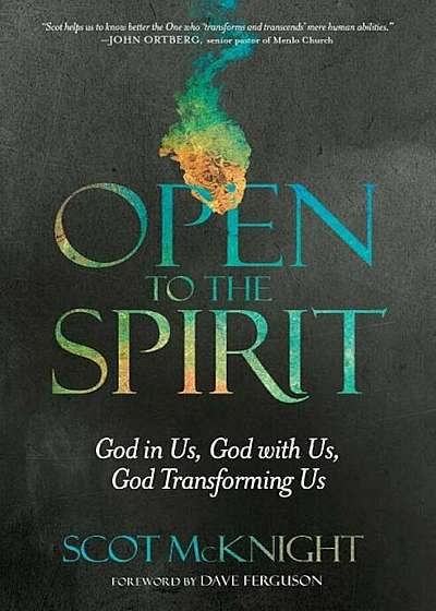 Open to the Spirit: God in Us, God with Us, God Transforming Us, Paperback