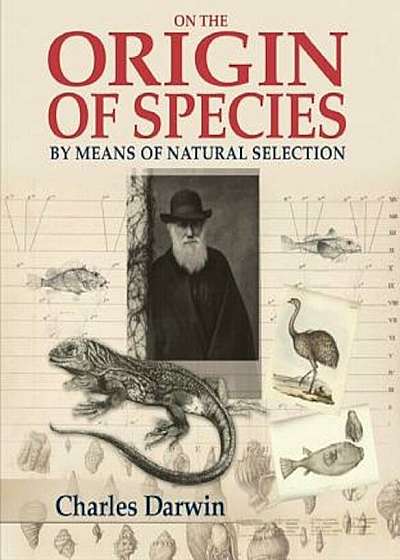 On the Origin of the Species, Hardcover